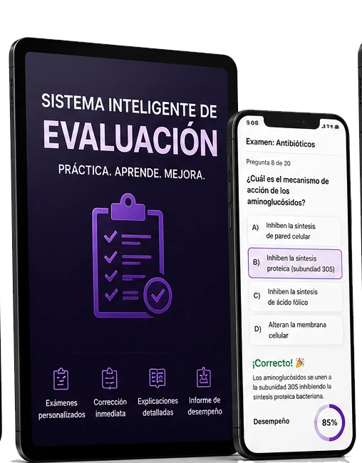 Vista previa del Sistema Inteligente de Evaluación en tablet y móvil